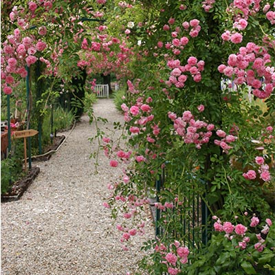 les jardins de Nanteuillet